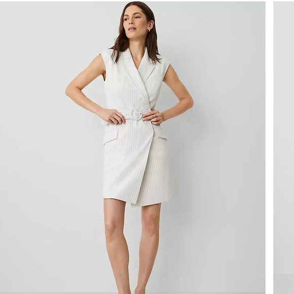 Ann Taylor White Belted Striped Lapel Sheath Dress Size 6 - Picture 1 of 11